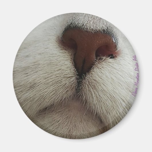 鼻は猫の鼻の磁石を#1知る マグネット (正面)