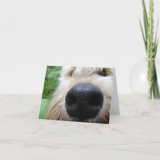 鼻は知っています! カード