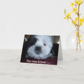 鼻は…... カード (黄色い花)