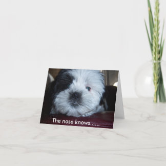 鼻は…... カード