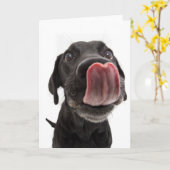 鼻をなめる黒いラブラドール カード (黄色い花)