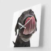 鼻をなめる黒いラブラドール スクエア壁時計 (傾斜)