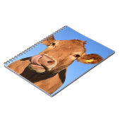 鼻を舐めているジャージー牛 ノートブック (左側)