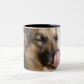 鼻を舐めているジャーマン・シェパードのクローズアップ ツートーンマグカップ (中央)