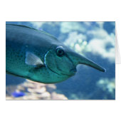 鼻側胸腺炎 (正面横)