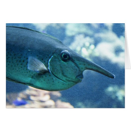 鼻側胸腺炎 (正面横)