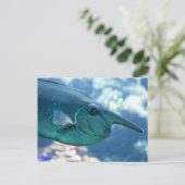 鼻側胸腺炎 ポストカード (スタンド正面)