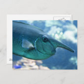 鼻側胸腺炎 ポストカード (正面/裏面)