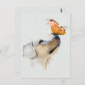 鼻先に蝶を付けたゴールデンレトリバー ポストカード (正面/裏面)