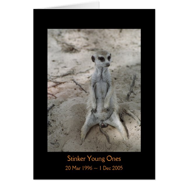 鼻摘みもの-伝説カード (正面)