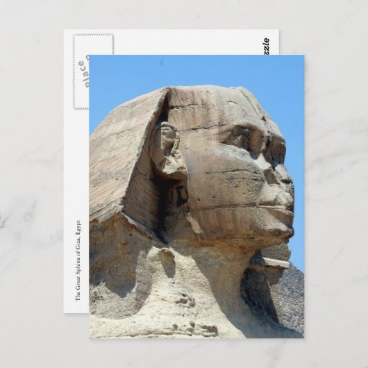 鼻筋 ポストカード (正面/裏面)