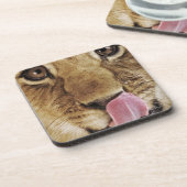 鼻、クローズアップを舐めているライオンの子(ヒョウ属レオ) コースター (左側)