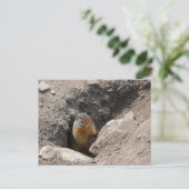 齧歯動物が現れる ポストカード (スタンド正面)