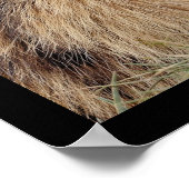 齧歯動物のモザイク写真 ポスター (角)