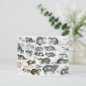 齧歯動物又は顎動物 ポストカード (スタンド正面)