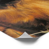 龍髪ダシュントのポスター ポスター (角)