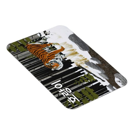 호랑이（シベリア虎） マグネット (右側)