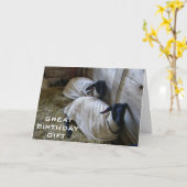 １年も年上だってことを思い出させてやる カード (黄色い花)