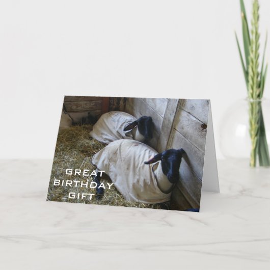 １年前の誕生日を思い出させてあげるね カード (正面)