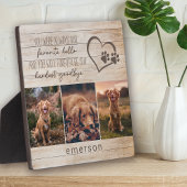 ３枚の写真　素朴なペットの死 フォトプラーク