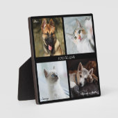 ４枚の写真を並べたペット用コラージュ、黒フレーム、キャプション - スクエア フォトプラーク (正面)