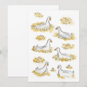 ６羽の雌ガモが産卵中 招待状 (正面/裏面)