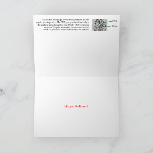 ＤＮＡ転写ツリーの休暇猫 シーズンカード (内部)