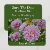 ＲＨＳガーデンでピンクのダリアの花がサプライズの誕生日を飾る セーブザデート (正面/裏面)