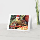 hawaii turtle Hawaiianを検索する