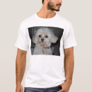 飼い ならさ れる tシャツ かわいいを検索する