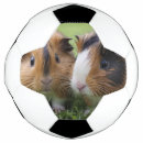 ベビー サッカーボール ペットを検索する