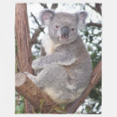 marsupial ホーム リビング くまを検索する