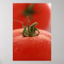 トマト ポスター 野菜を検索する