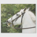 馬 ラッピングペーパー すべての人を検索する