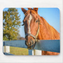 horse マウスパッド Farmを検索する