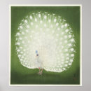 ヴィンテージ アート 孔雀を検索する