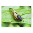 蝉 虫を検索する