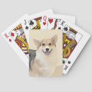 コーギー ーギー ギー トランプ ペンブロークウェルシュコーギーを検索する