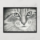 現実 主義 猫を検索する