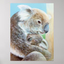 コアラ アート Koalaを検索する