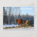 馬 ポストカード 雪を検索する