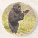猿 コースター 霊長目を検索する