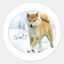 shiba 黒を検索する