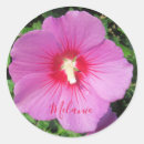 水滴 シール あらゆる人を検索する