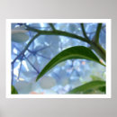 ファインアート ポスター アー素晴らしトプリントを検索する