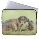 animal タブレット ラップトップ ケース Animals in the wildを検索する