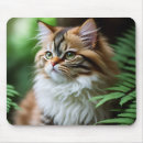 ペルシャ マウスパッド 猫を検索する
