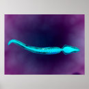 精液 アート イラストレーションを検索する