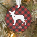 チワワ 犬 クリスマス デコレーション 休日を検索する