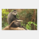 s 四角形シール 動物を検索する